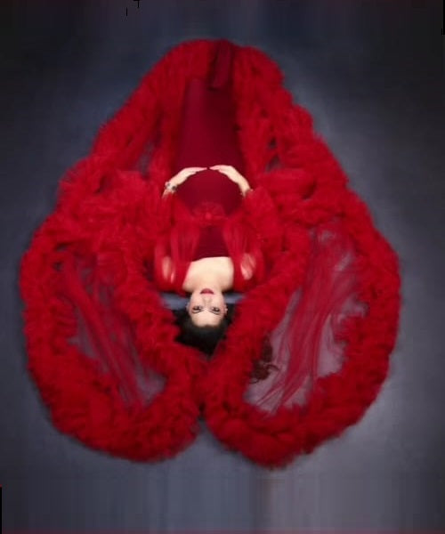 G448, Wine Ruffled Maternity Shoot Gown, Size: All, Color: All