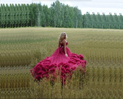 G123, Luxury Wine Puffy Cloud Trail Big Ball Gown, Size: All, Color: All