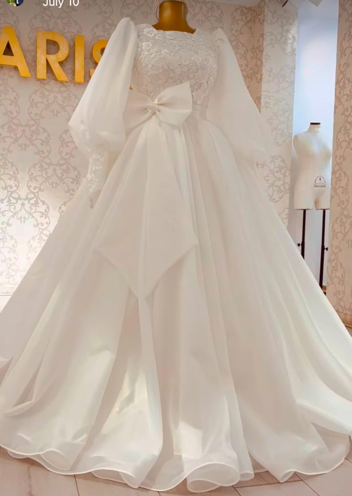 W260, White Organza  Trail Gown, Size: All, Color All