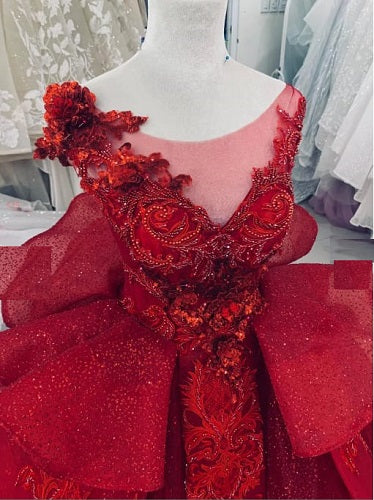 G120, Wine Red Embroidery Princess Big ball Gown Size: All, Color: All